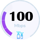 HOME FIBER 100