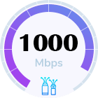 HOME FIBER 1000