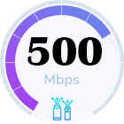 FIBER HOME 500